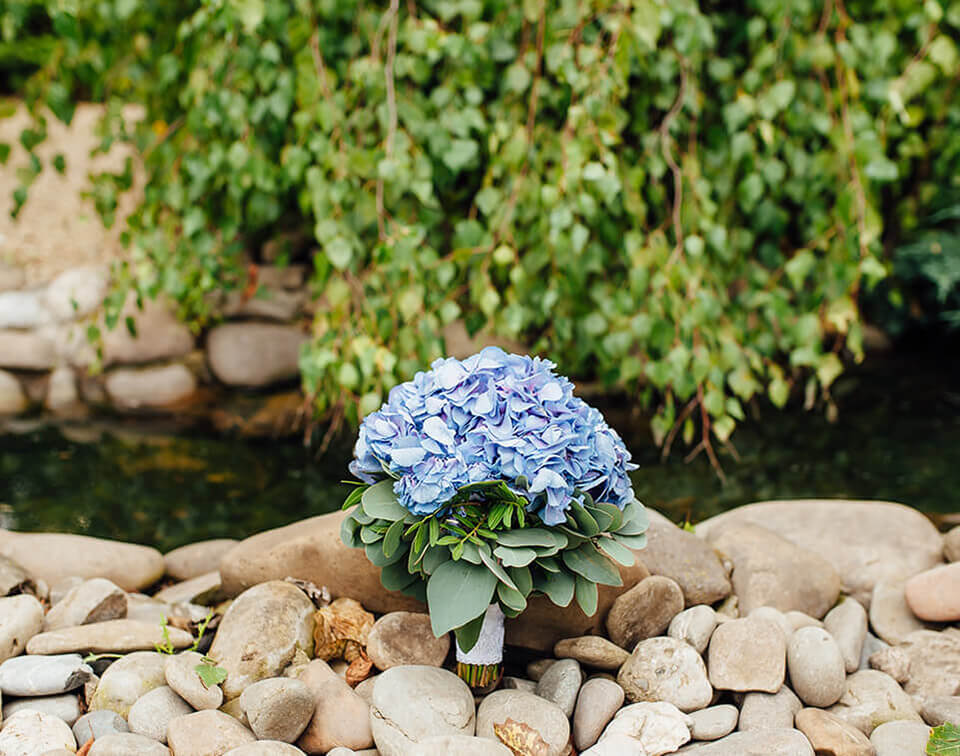 Property Maintenance